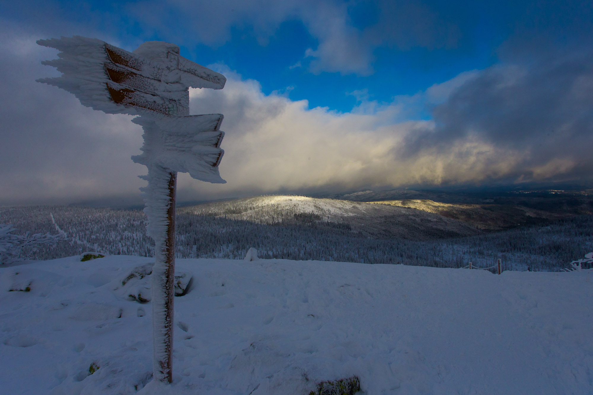 Bavarian Forest Winter