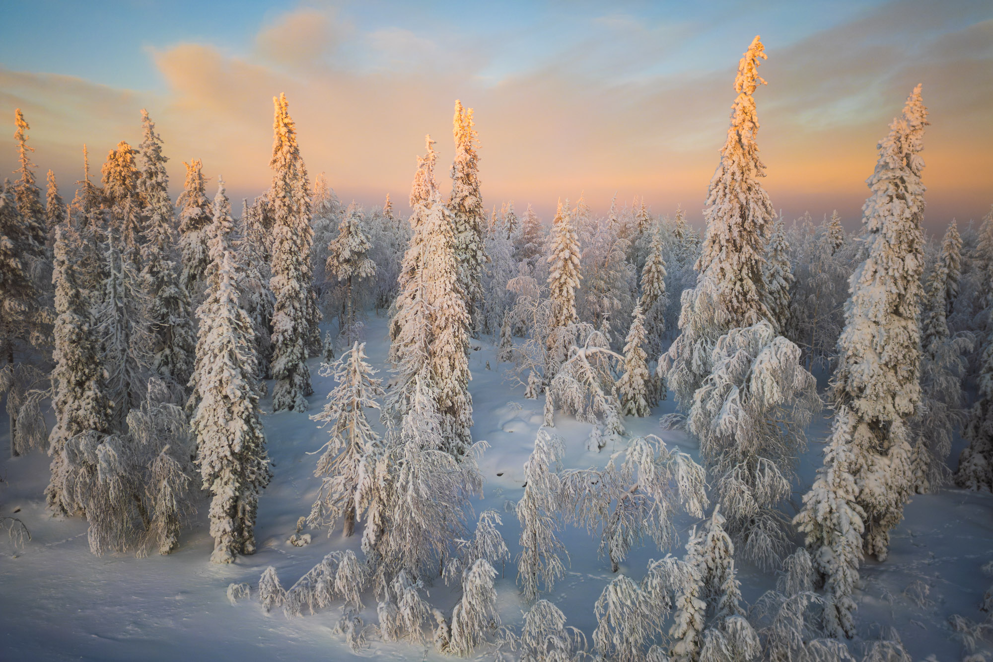 Lapland